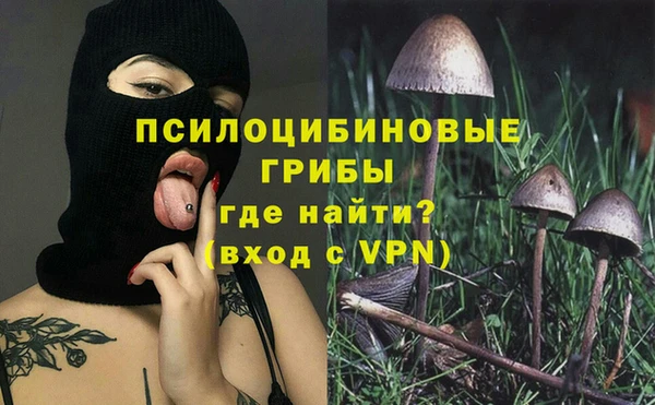 прущий лед Каменка