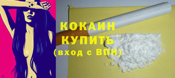 прущий лед Каменка