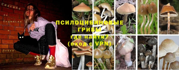 винт Каменногорск