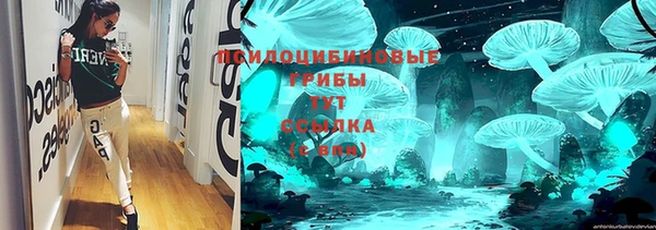прущий лед Каменка