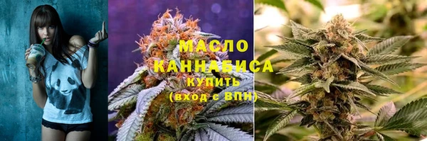 прущий лед Каменка