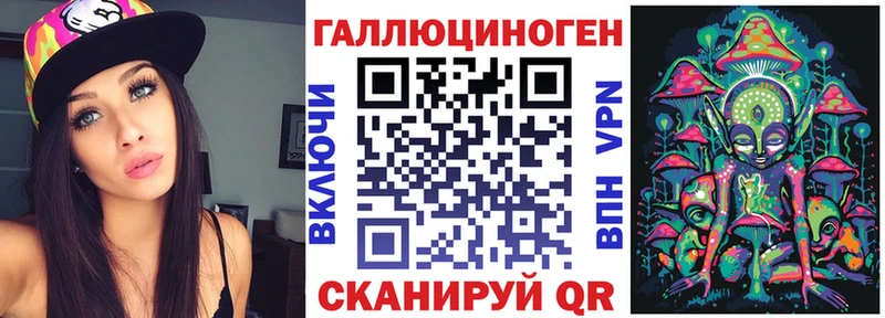 Галлюциногенные грибы Psilocybe  Купить закладки  Ахтубинск 